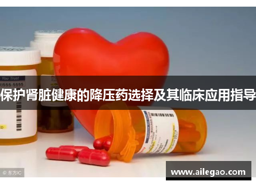 保护肾脏健康的降压药选择及其临床应用指导