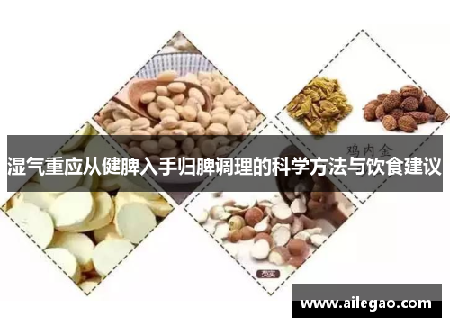 湿气重应从健脾入手归脾调理的科学方法与饮食建议