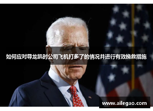 如何应对尊龙凯时公司飞机打多了的情况并进行有效挽救措施